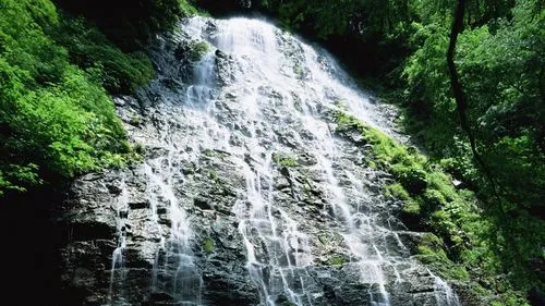 稳定性精密